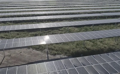 Solar taoístico para fornecer módulos para projetos fotovoltaicos de 170 MW n...