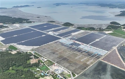 A Coréia do Sul lança um concurso solar de 1GW com padrões mais rígidos de ca...